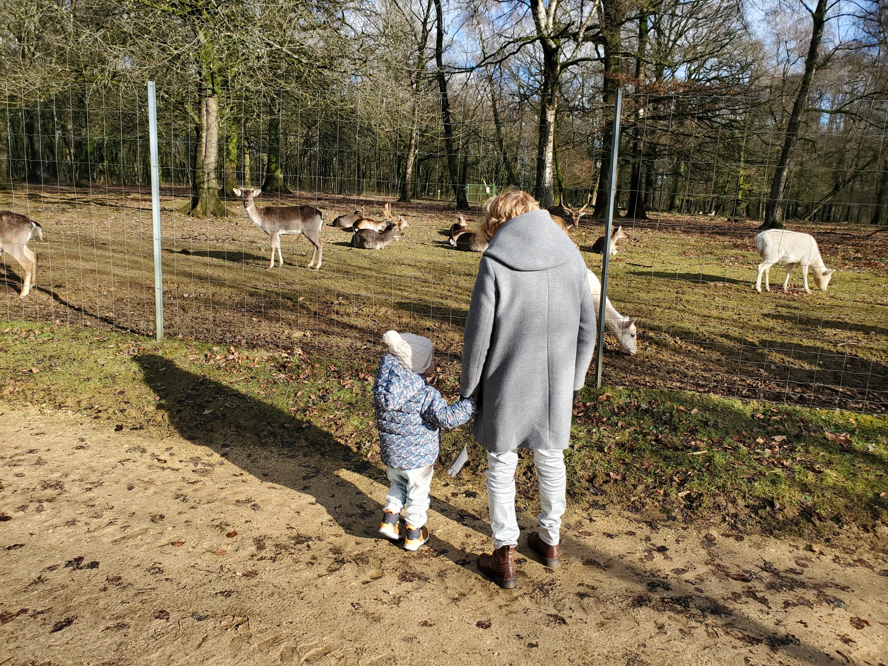 Le parc animalier de Saint Laurent à visiter en famille