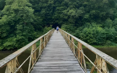 Ardennes Mega Trail (AMT) : un défi trail running insensé dans les forêts ardennaises